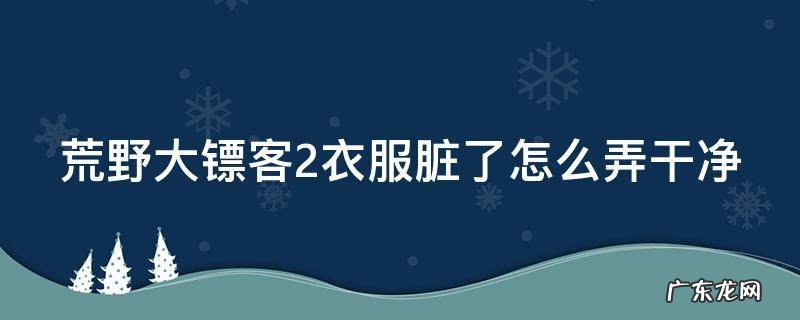 荒野大镖客2衣服脏了怎么弄干净 荒野大镖客2怎么把衣服洗干净