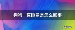 狗狗总是睡觉是什么原因 狗狗一直睡觉是怎么回事