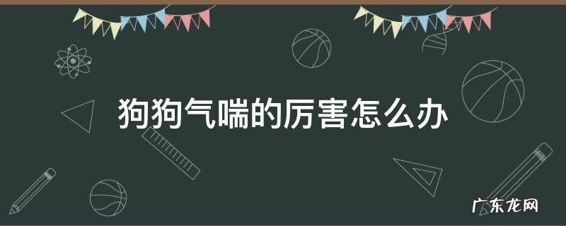 狗狗气喘的厉害怎么办 狗狗有气喘怎么办