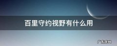 百里守约视野有什么用 百里守约那个视野有什么用
