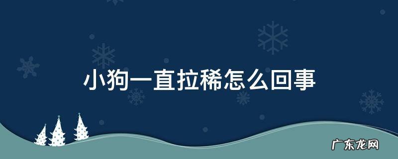 小狗一直拉稀怎么回事 小狗狗一直拉稀