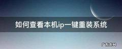 如何查看本机ip一键重装系统