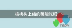 核桃树上结的穗能吃吗 核桃树上的穗子能吃吗