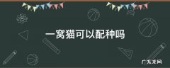 一窝猫可以配种吗 猫一窝的可以配种吗