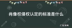 肖像权侵权认定的标准是什么2021 肖像权侵权认定的标准是什么