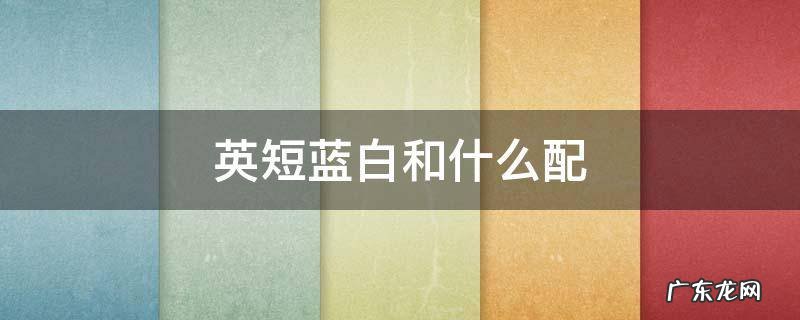英短蓝白和什么配种 英短蓝白和什么配