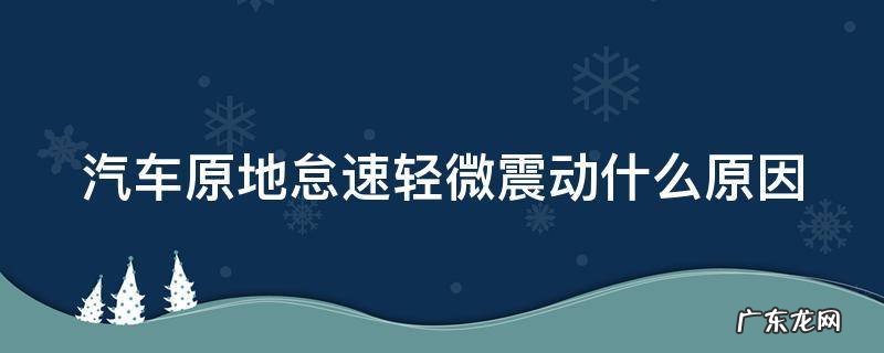 汽车原地怠速轻微震动什么原因 汽车原地怠速轻微震动什么原因引起的