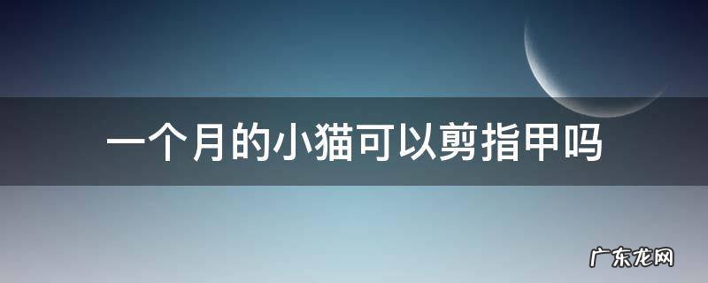 1个月的小猫可以剪指甲吗 一个月的小猫可以剪指甲吗