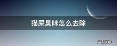 猫屎臭味怎么去除 猫屎很臭怎么去味