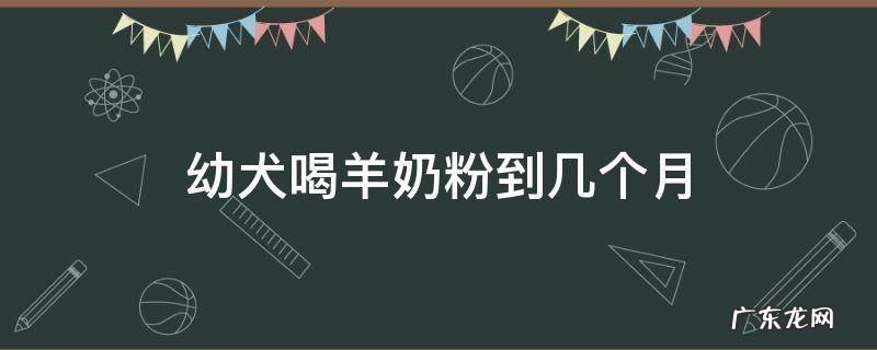 幼犬吃几个月羊奶粉 幼犬喝羊奶粉到几个月