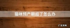 猫咪超预产期几天不生算正常 猫咪预产期超了怎么办