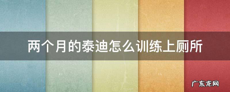 两个多月的泰迪狗狗怎么训练上厕所 两个月的泰迪怎么训练上厕所