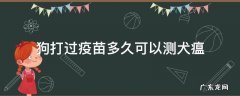 狗打过疫苗多久可以测犬瘟 狗得了犬瘟多久能测出来