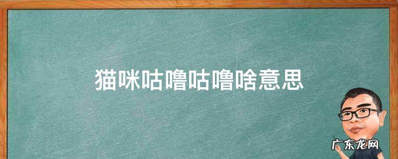 猫咪咕噜咕噜啥意思 猫猫咕噜咕噜是什么意思