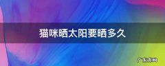 猫咪晒太阳要晒多久 猫咪晒太阳能晒多久