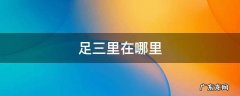 足三里位置图片 足三里在哪里