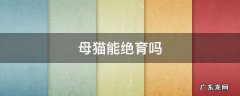 母猫能绝育吗 五个月的母猫能绝育吗