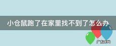 小仓鼠跑了在家里找不到了怎么办 小仓鼠跑了在家里找不到了怎么办已经丢了两天了