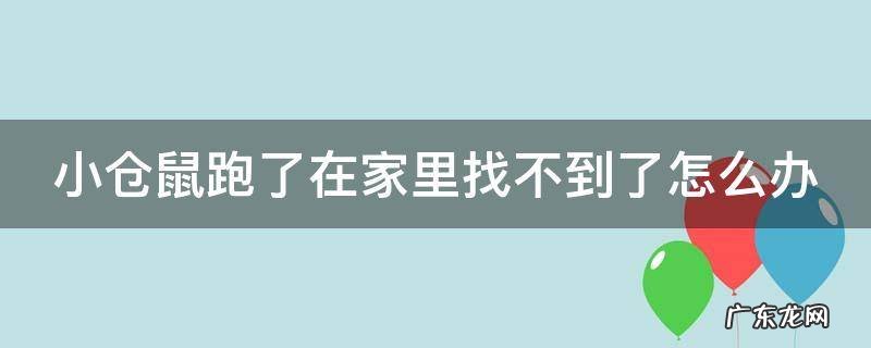 小仓鼠跑了在家里找不到了怎么办 小仓鼠跑了在家里找不到了怎么办已经丢了两天了