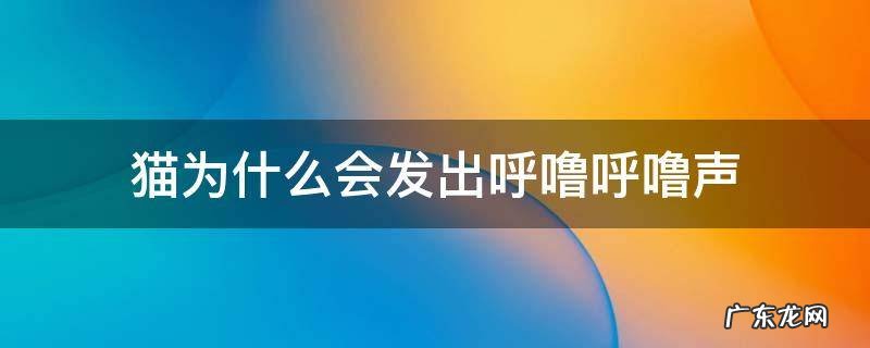 猫为什么会发出呼噜呼噜声 猫为什么会发出呼噜呼噜声是生病了吗