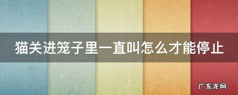 猫关进笼子里一直叫怎么才能停止 猫咪关笼子一天最多几小时