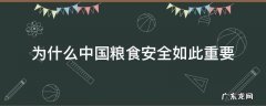 为什么中国粮食安全如此重要 为什么中国粮食安全如此重要作文