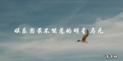 谁是娱乐圈最不能惹的明星？答案让人惊讶！