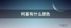 柯基有什么颜色 纯正的柯基有什么颜色