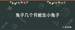 兔子几个月才能生小兔子 兔子几个月能生小兔子