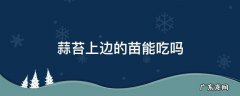 蒜苔苗头能吃吗 蒜苔上边的苗能吃吗