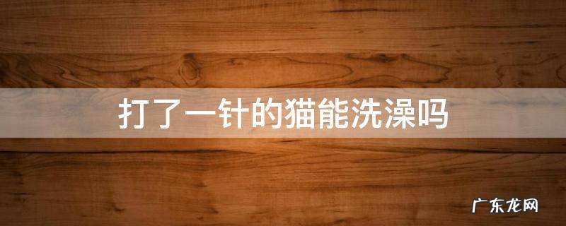 猫洗了澡可以打针吗 打了一针的猫能洗澡吗