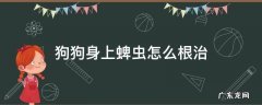 狗狗身上蜱虫怎么根治 狗身上的蜱虫怎么根治