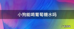 葡萄糖水狗狗可以喝吗 小狗能喝葡萄糖水吗
