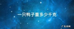 一只鸭子重多少千克 一只鸭子的重量是多少克