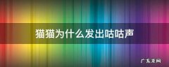 猫猫一直发出咕咕声 猫猫为什么发出咕咕声