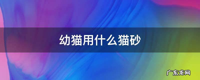 幼猫用什么猫砂盆好 幼猫用什么猫砂