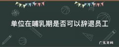 单位在哺乳期能辞退员工吗 单位在哺乳期是否可以辞退员工