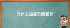为什么猫喜欢睡猫砂 为什么猫咪喜欢睡猫砂