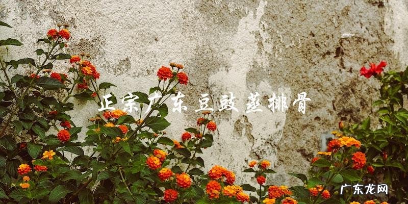 正宗广东豆豉蒸排骨,让你品尝地道的广东美食!