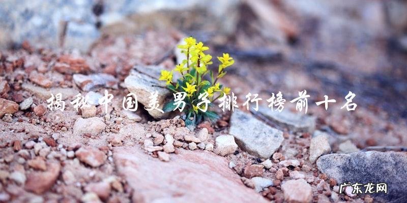 中国美男子排行榜前十名,第一名竟然是他?!