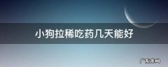 狗狗拉稀吃药几天能好 小狗拉稀吃药几天能好