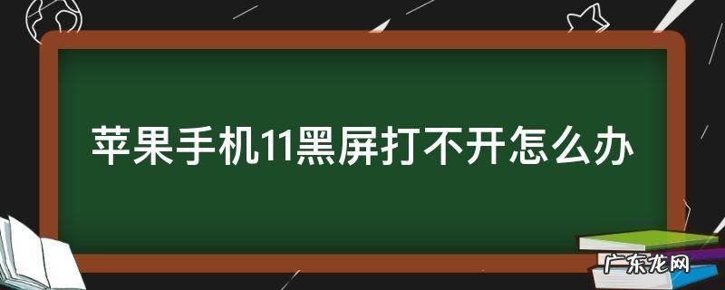 苹果手机11黑屏打不开怎么办 苹果11手机黑屏打不开怎么回事