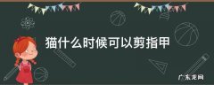 小奶猫什么时候可以剪指甲 猫什么时候可以剪指甲