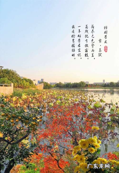一年好景君须记的下一句是什么？一年好景君须记是什么意思