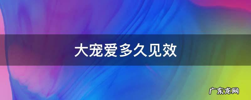 大宠爱多久见效 大宠爱多久见效 跳蚤
