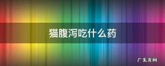猫腹泻吃什么药好 猫腹泻吃什么药