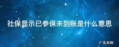 社保显示已参保未到账是什么意思 社保显示已参保未到账是什么意思呀