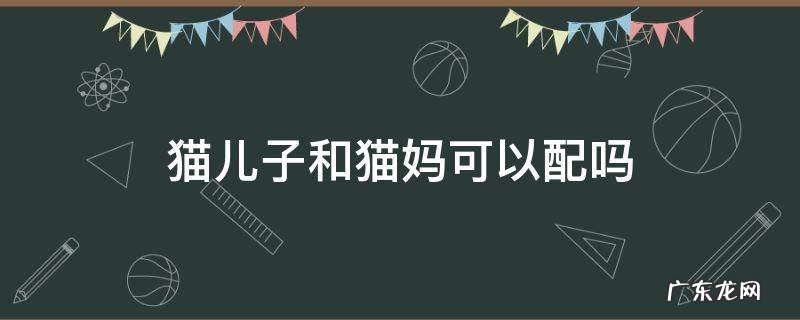 猫儿子和猫妈可以配吗 猫的儿子能和猫妈配对吗?