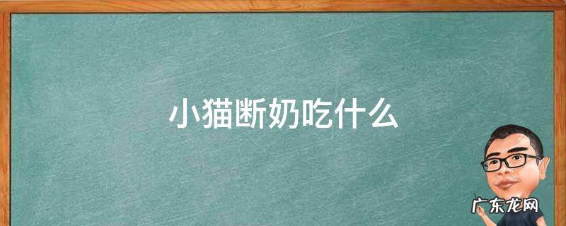 小猫断奶吃什么 小猫断奶吃什么猫粮