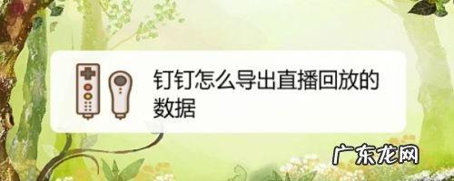 电脑钉钉群直播怎样回放